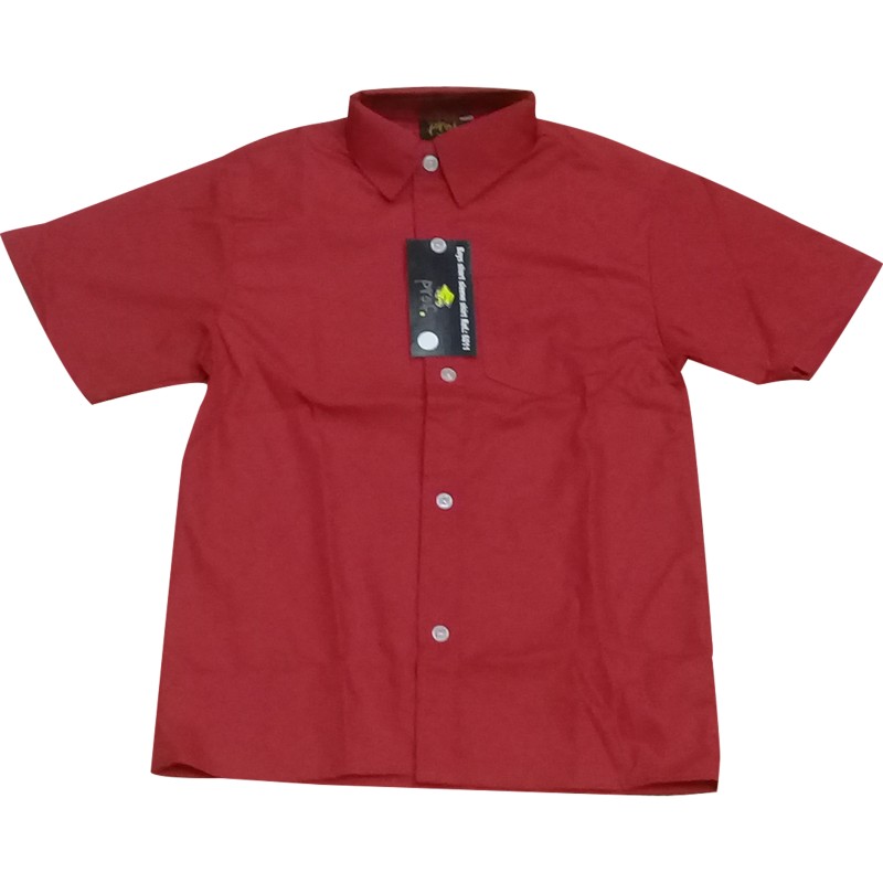 SCHOOL SHORT SLEEVE SHIRTS 03/04 TO 15/16 AGE SIZE - Twistville Investments