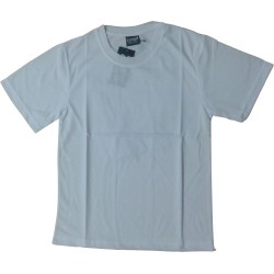 ROUND NECK T-SHIRTS CHILDREN 4YRS TO 16YRS ADULTS S TO L MANY OTHER COLOURS